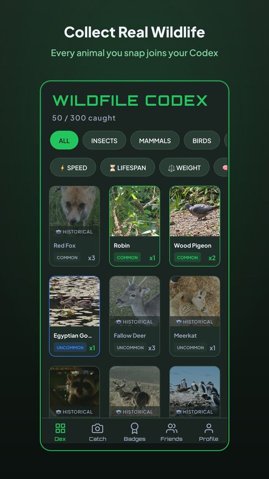 WildFile Codex screen showing a collection of caught creatures