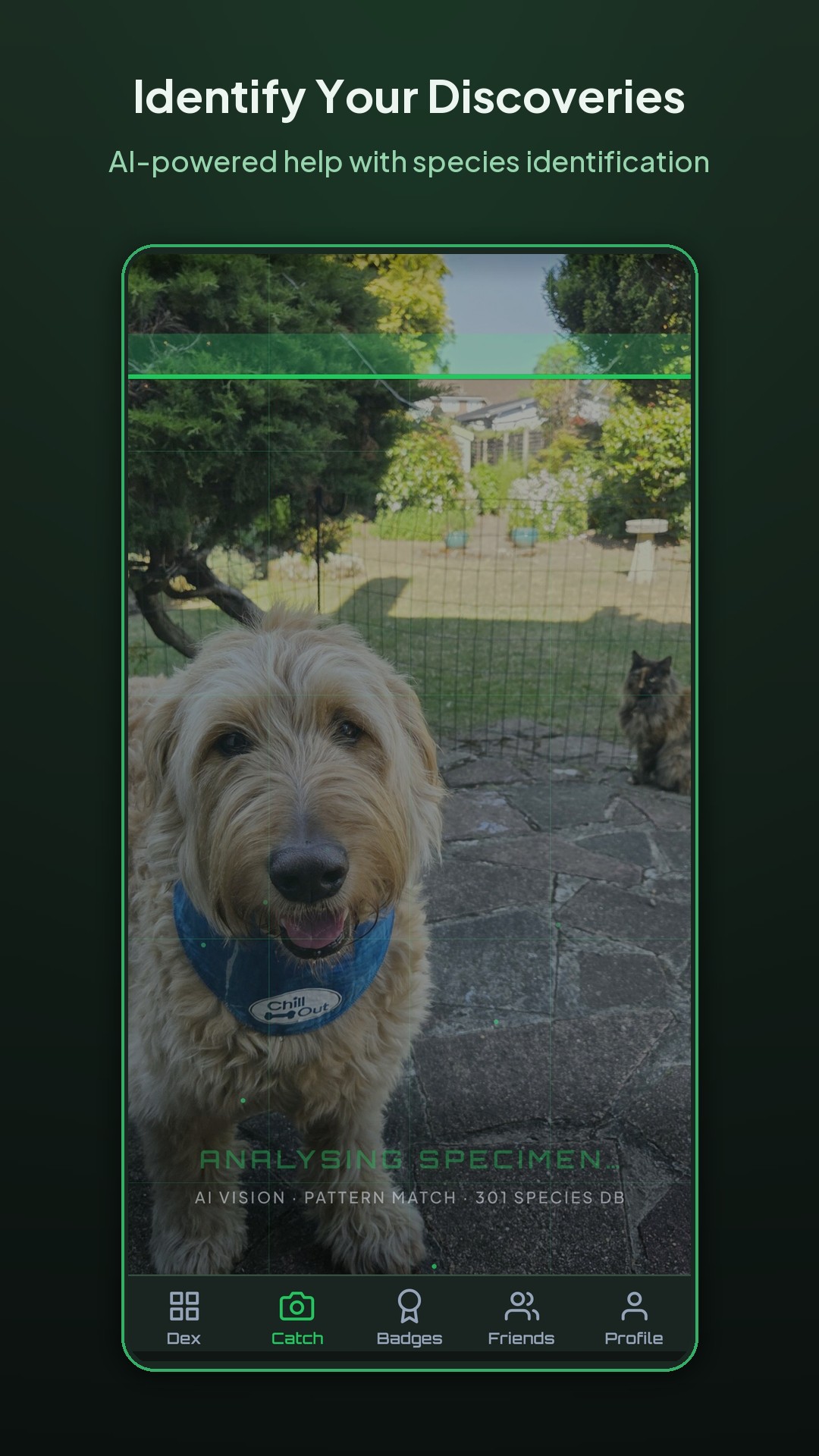 WildFile analysing a real creature photo to help identify its species